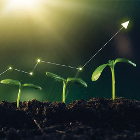 Three stages of growth of a plant with an arrow following the growth